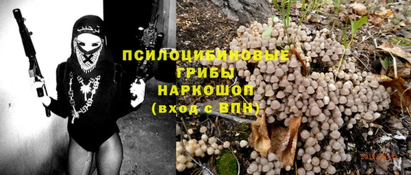 спиды Арсеньев