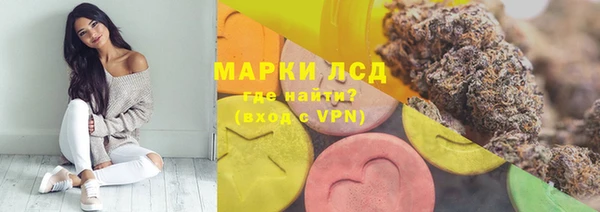 твердый Аркадак